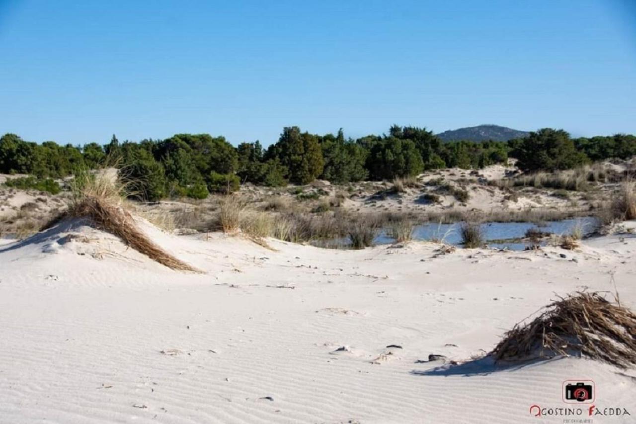Casa Vacanza Le Dune Villa SantʼAnna Arresi Екстериор снимка